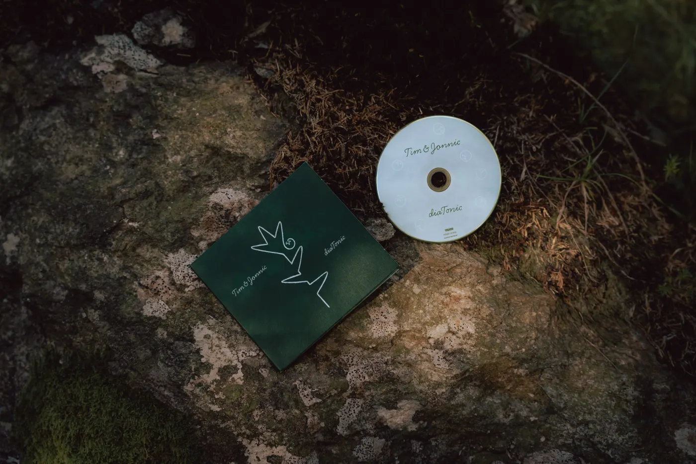 CD im Wald auf einem bemoosten Stein